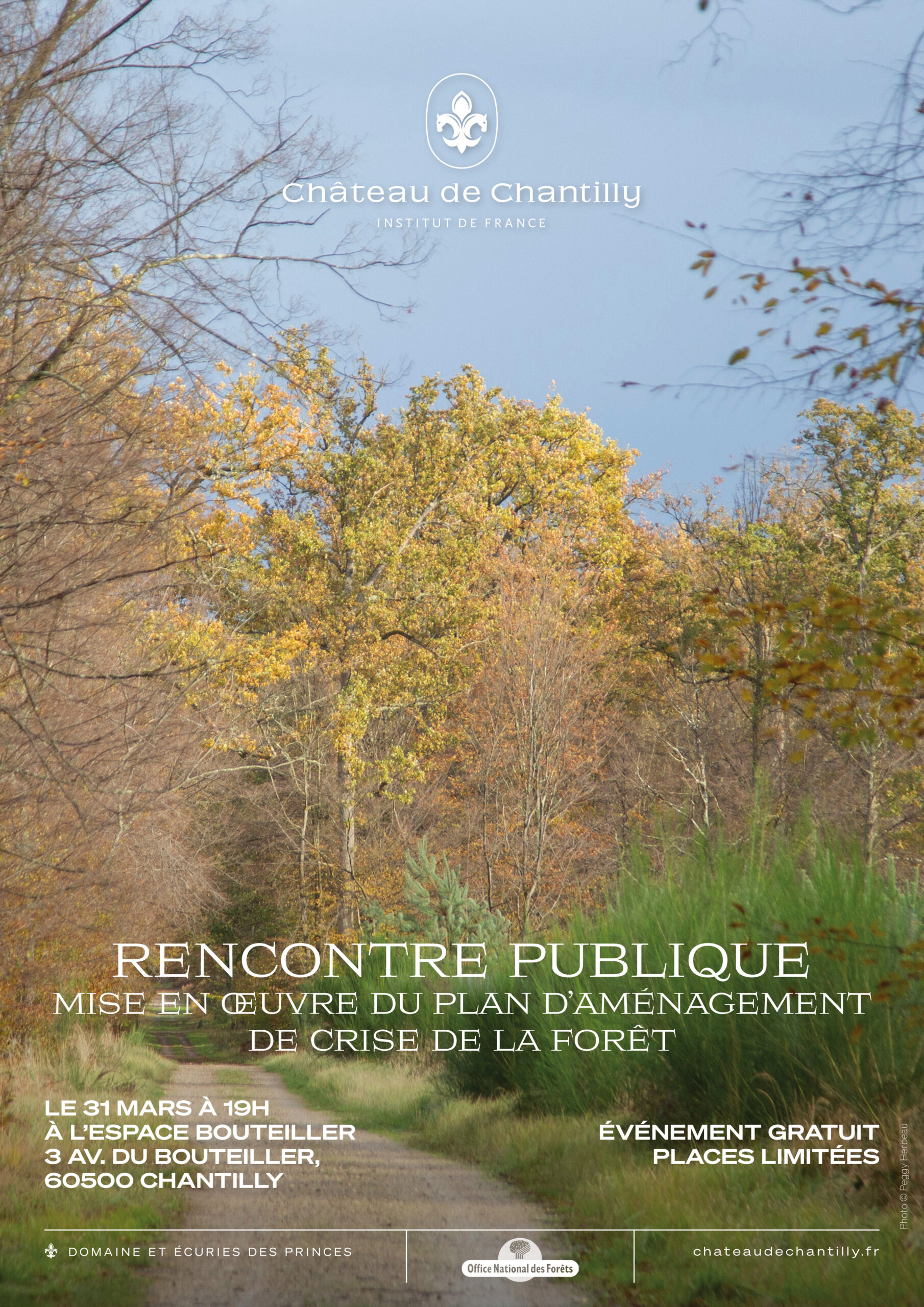 Rencontre publique sur la mise en œuvre du plan d’aménagement de crise de la forêt du Château de Chantilly