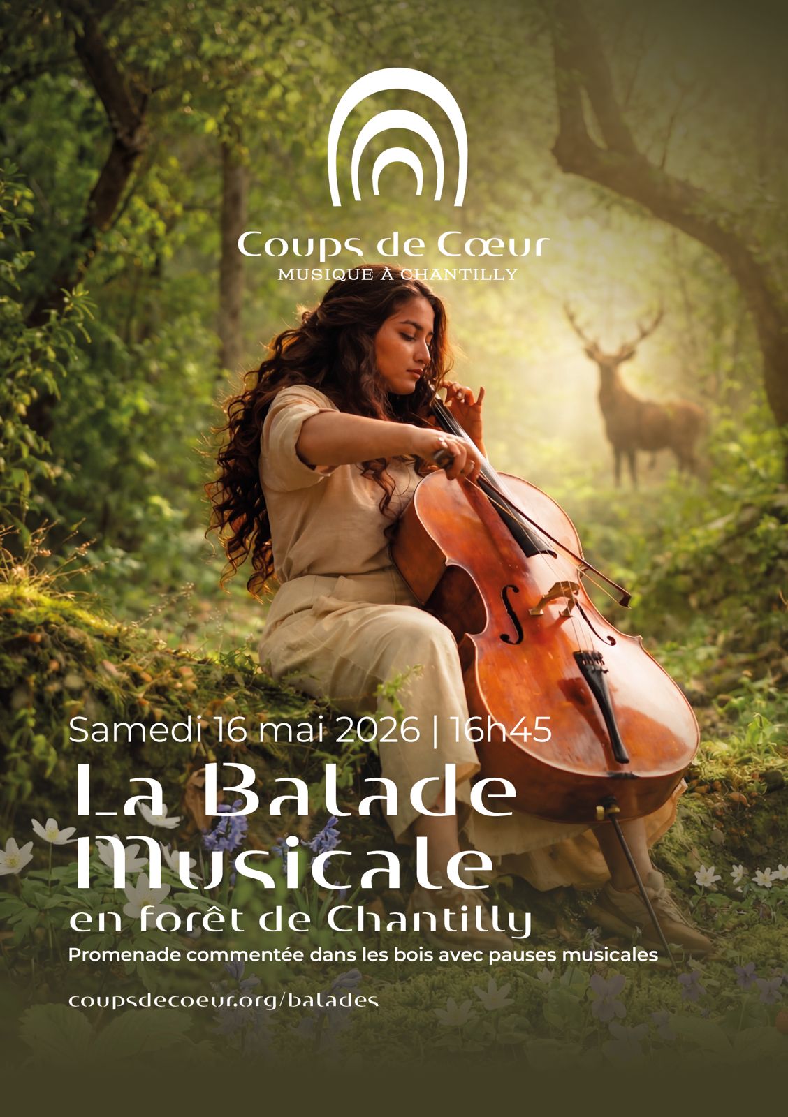 Balade musicale en forêt de Chantilly