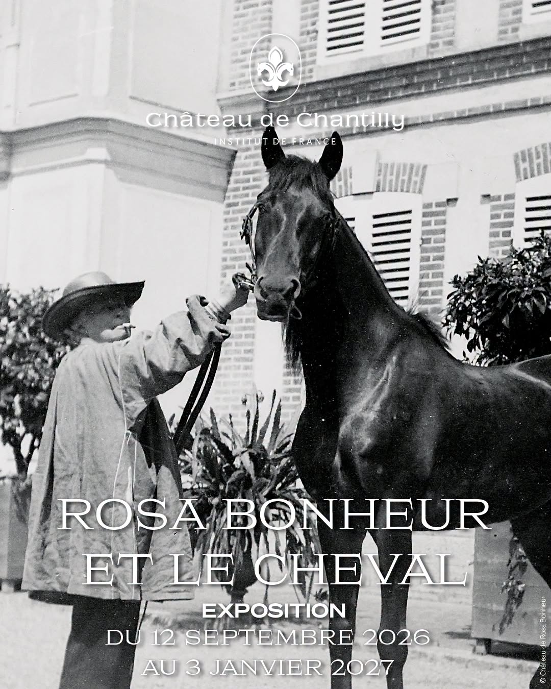 Exposition
