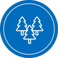Foret